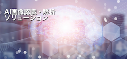 AI画像認識・解析